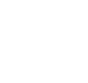 logo_white